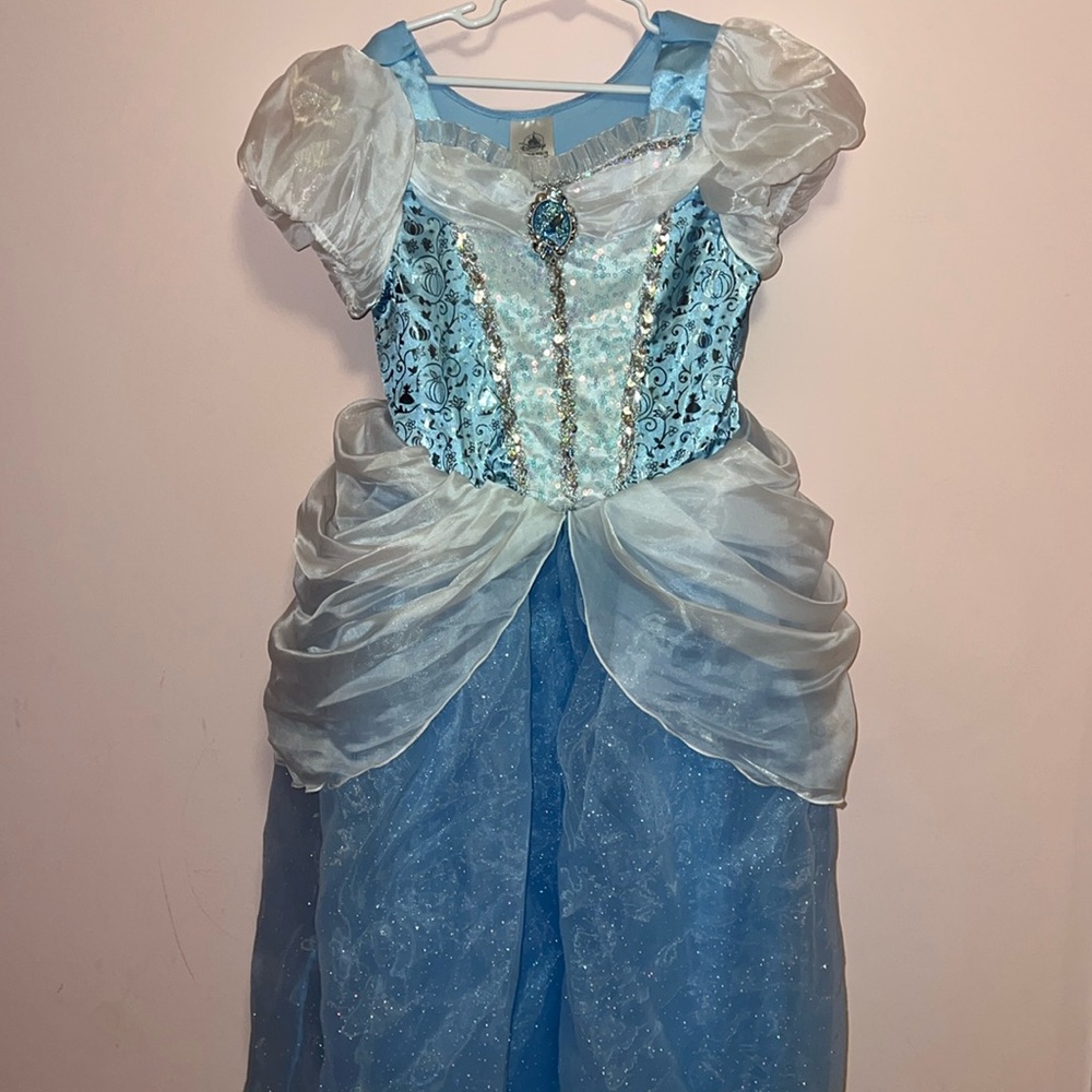Disney Cinderella Costume